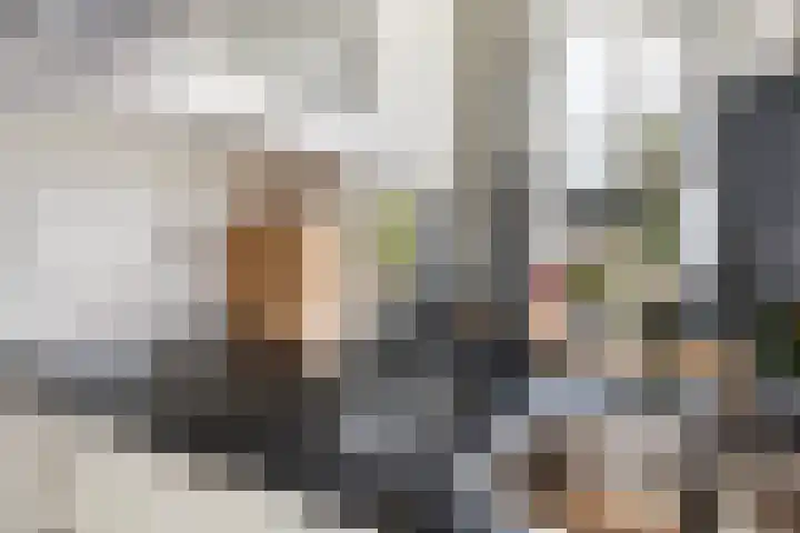 Hille Veenstrastrjitte 14 Kollumersweach thumbnail 22