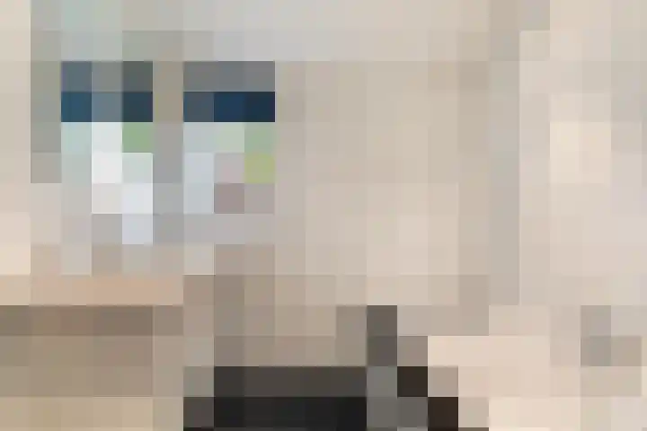Hille Veenstrastrjitte 14 Kollumersweach thumbnail 27