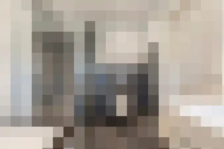 Hille Veenstrastrjitte 14 Kollumersweach thumbnail 28