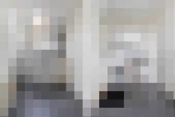 Hille Veenstrastrjitte 14 Kollumersweach thumbnail 30