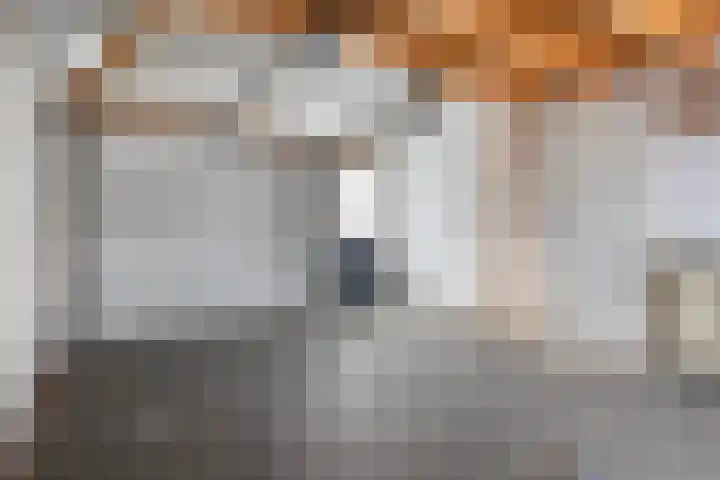 Hille Veenstrastrjitte 14 Kollumersweach thumbnail 31