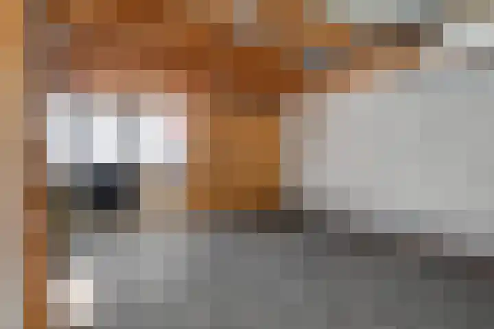 Hille Veenstrastrjitte 14 Kollumersweach thumbnail 32