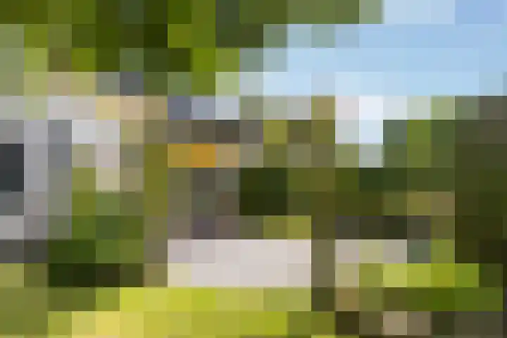 Hille Veenstrastrjitte 14 Kollumersweach thumbnail 33