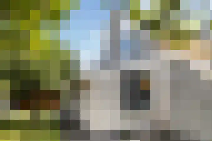 Hille Veenstrastrjitte 14 Kollumersweach thumbnail 35