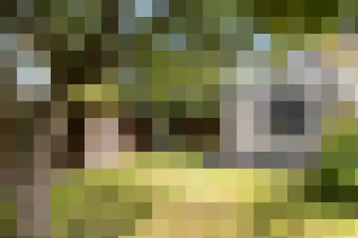 Hille Veenstrastrjitte 14 Kollumersweach thumbnail 36