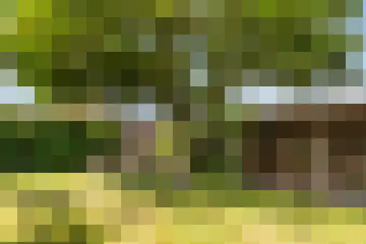 Hille Veenstrastrjitte 14 Kollumersweach thumbnail 37