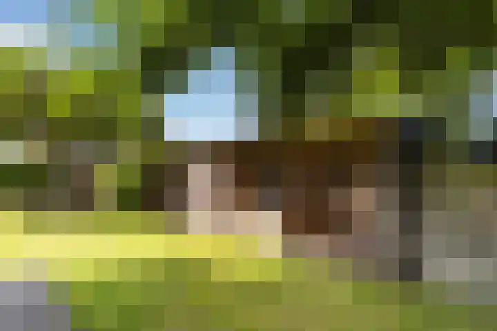 Hille Veenstrastrjitte 14 Kollumersweach thumbnail 38