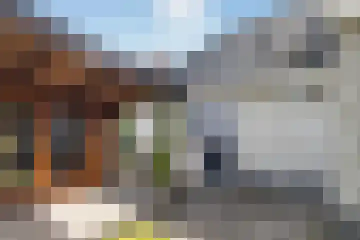 Hille Veenstrastrjitte 14 Kollumersweach thumbnail 40