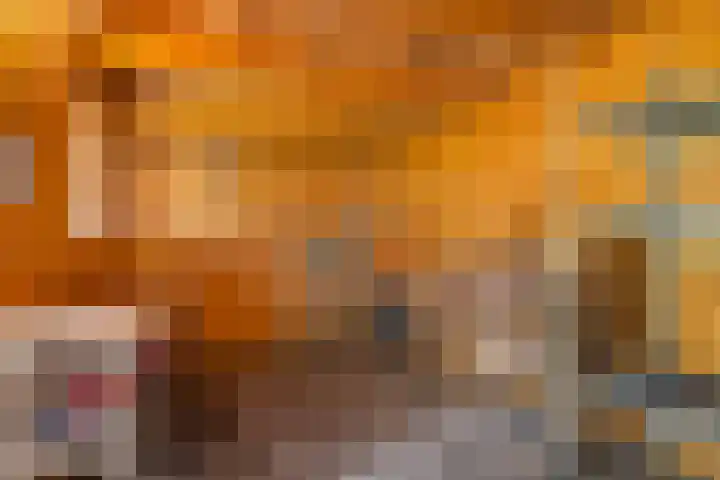 Hille Veenstrastrjitte 14 Kollumersweach thumbnail 42