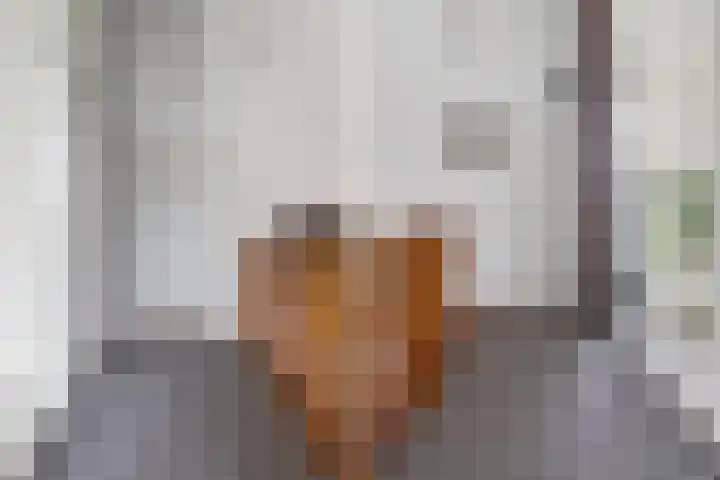 Hille Veenstrastrjitte 14 Kollumersweach thumbnail 43