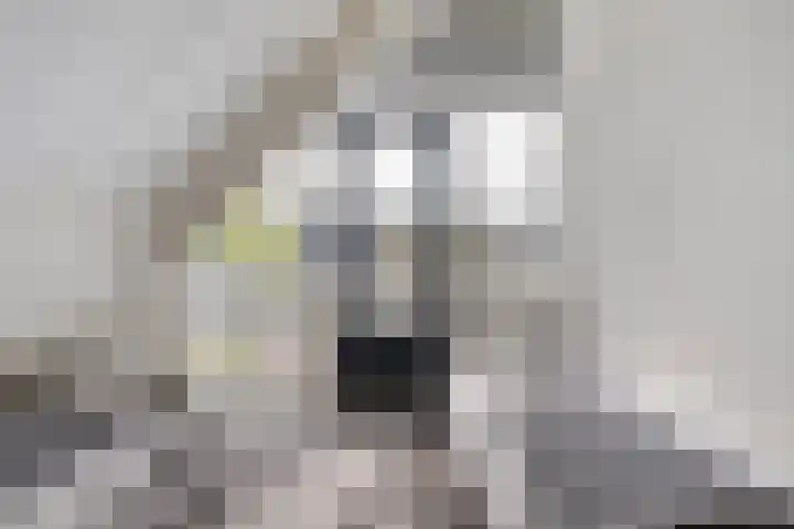 Hille Veenstrastrjitte 14 Kollumersweach thumbnail 44