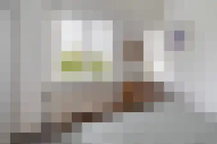 Hille Veenstrastrjitte 14 Kollumersweach thumbnail 46