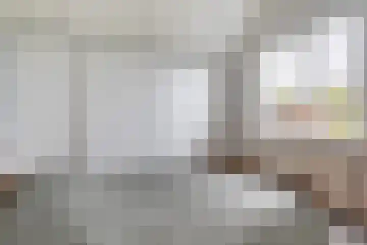 Hille Veenstrastrjitte 14 Kollumersweach thumbnail 47