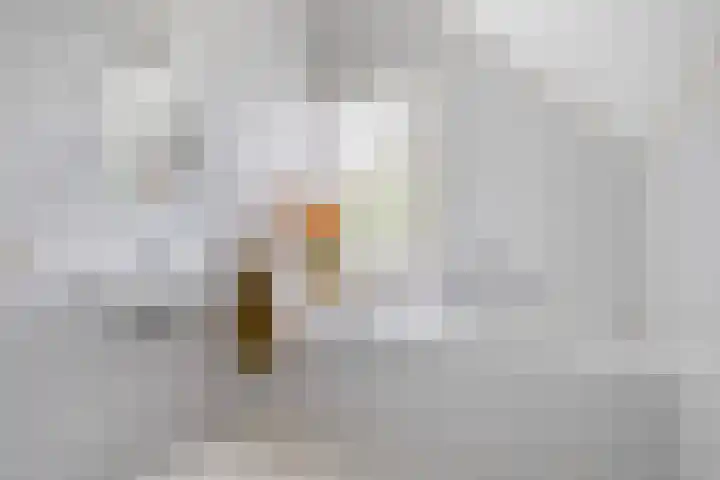 Hille Veenstrastrjitte 14 Kollumersweach thumbnail 49