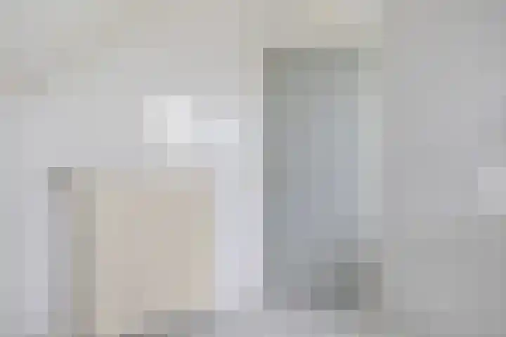 Hille Veenstrastrjitte 14 Kollumersweach thumbnail 50