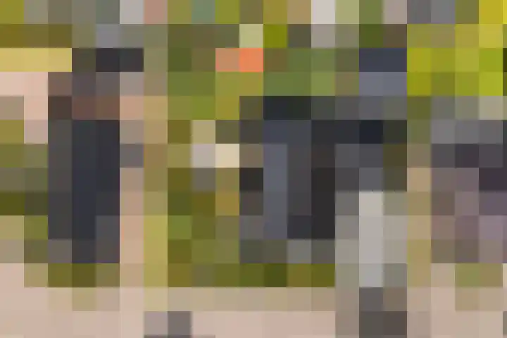 Hille Veenstrastrjitte 14 Kollumersweach thumbnail 51