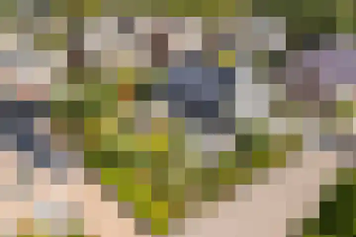 Hille Veenstrastrjitte 14 Kollumersweach thumbnail 52