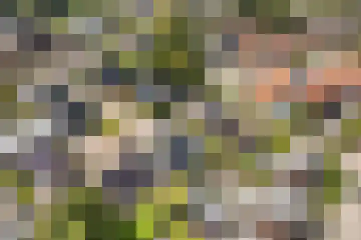 Hille Veenstrastrjitte 14 Kollumersweach thumbnail 53