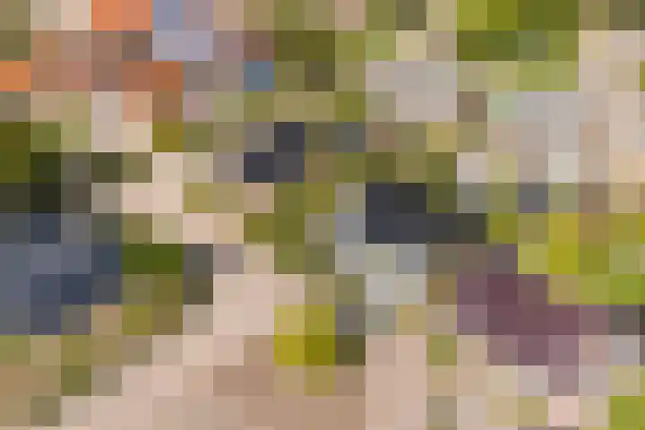 Hille Veenstrastrjitte 14 Kollumersweach thumbnail 54