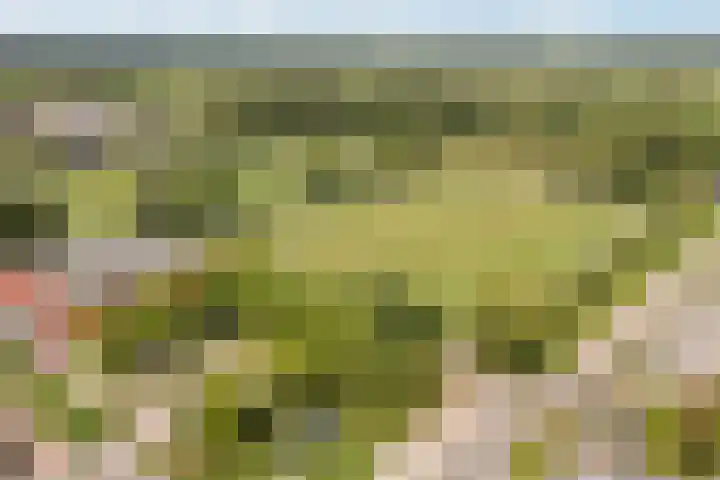 Hille Veenstrastrjitte 14 Kollumersweach thumbnail 55