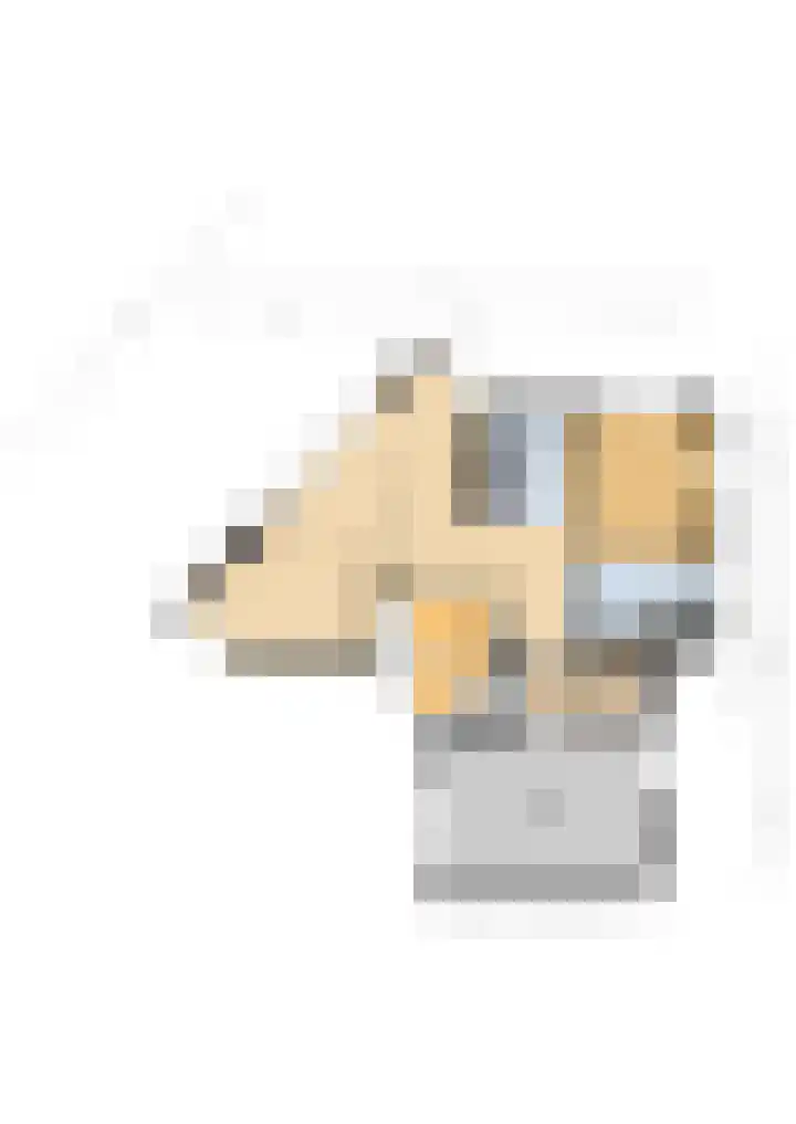 Hille Veenstrastrjitte 14 Kollumersweach thumbnail 56