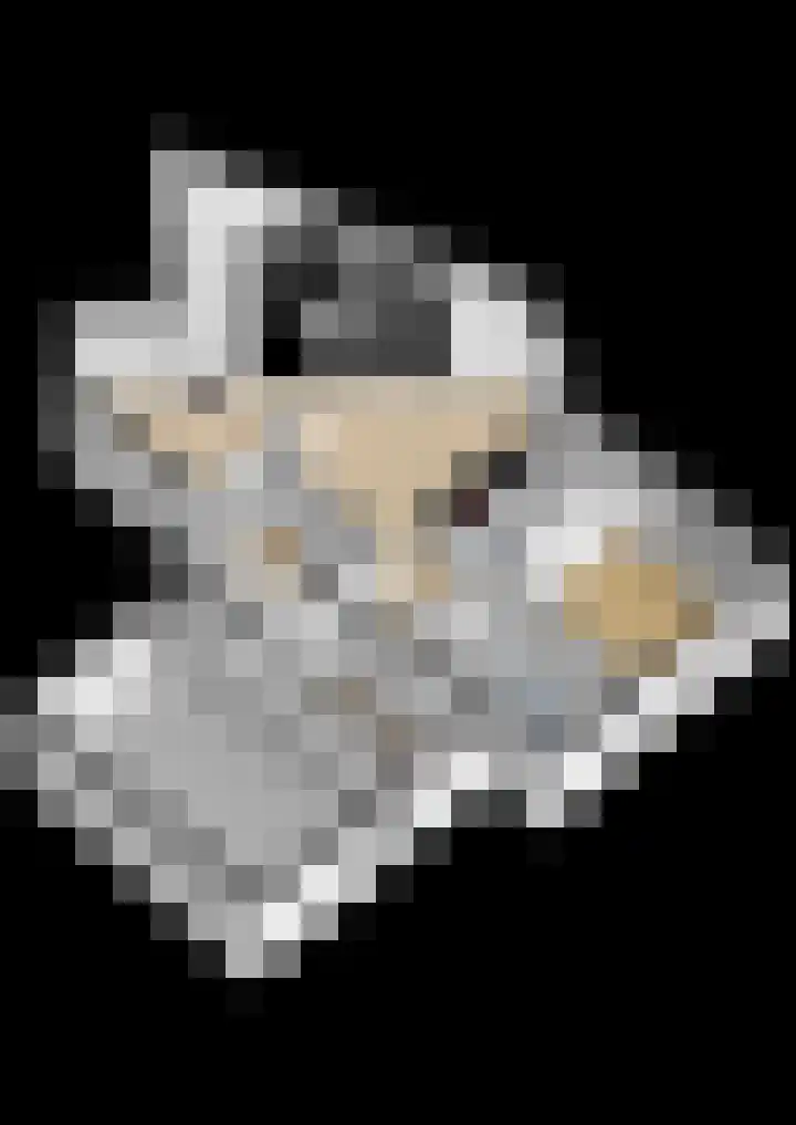 Hille Veenstrastrjitte 14 Kollumersweach thumbnail 57