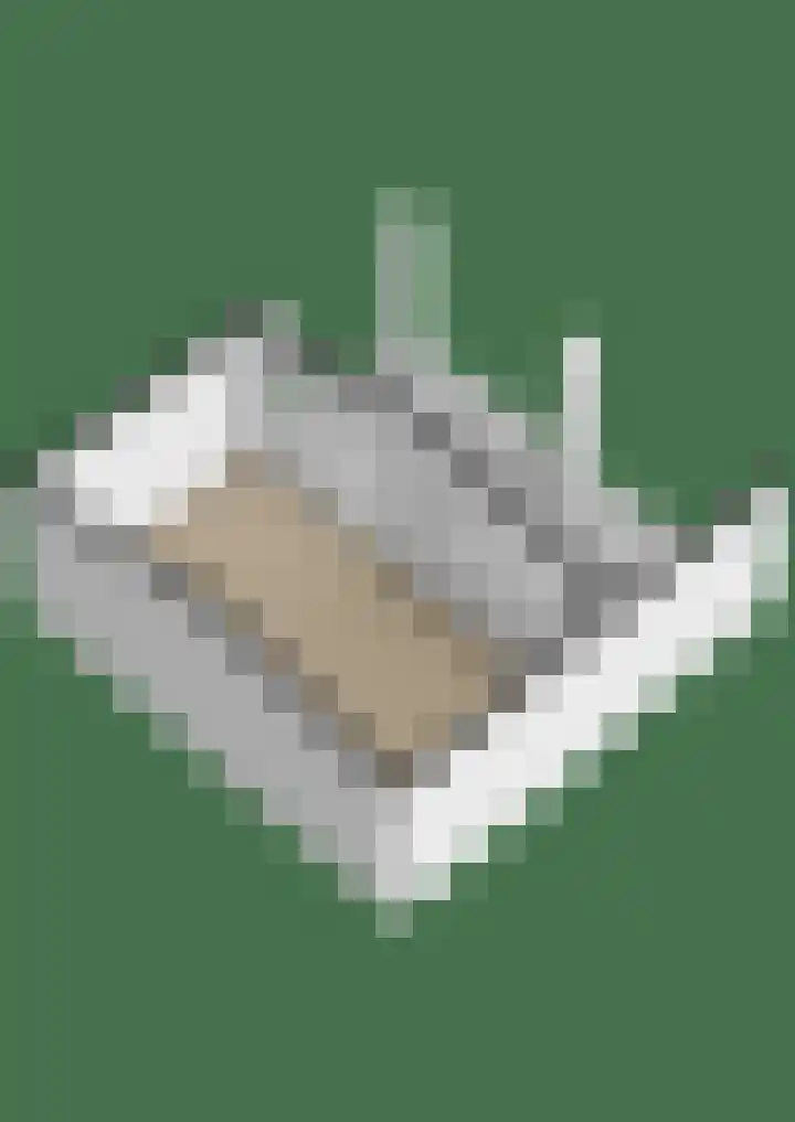 Hille Veenstrastrjitte 14 Kollumersweach thumbnail 61