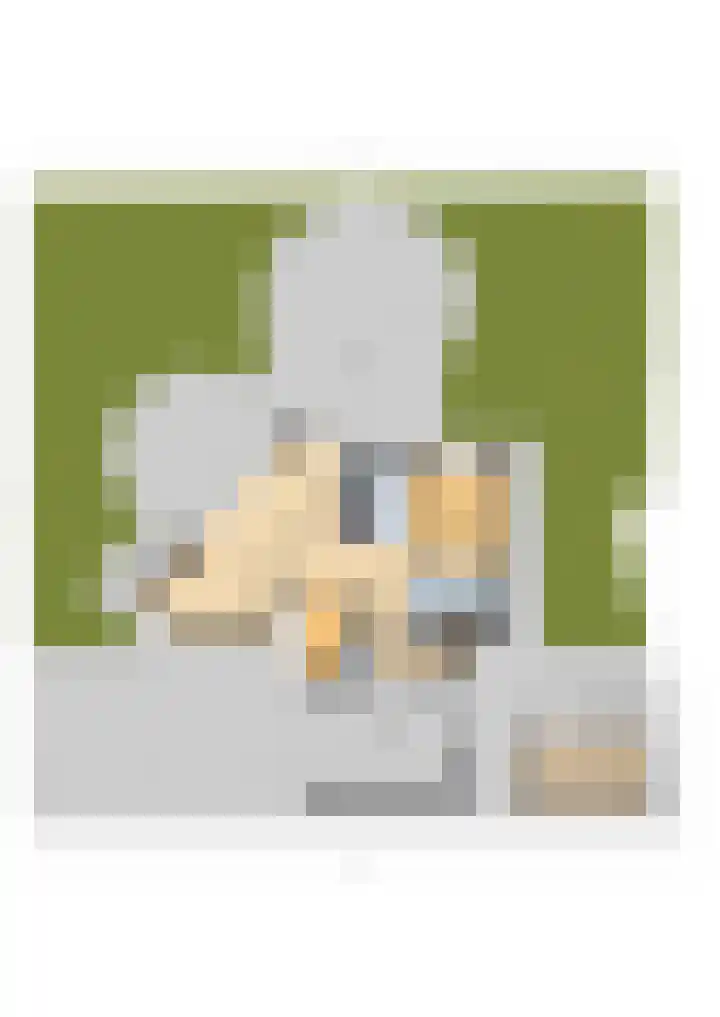 Hille Veenstrastrjitte 14 Kollumersweach thumbnail 62