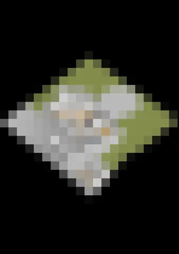 Hille Veenstrastrjitte 14 Kollumersweach thumbnail 63