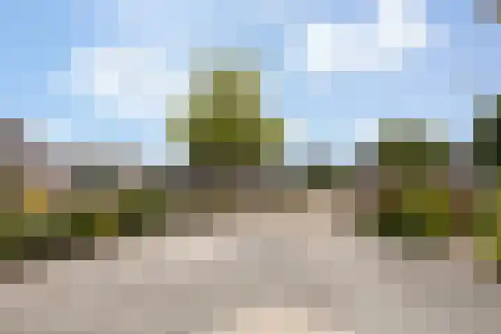 Hille Veenstrastrjitte 14 Kollumersweach thumbnail 8