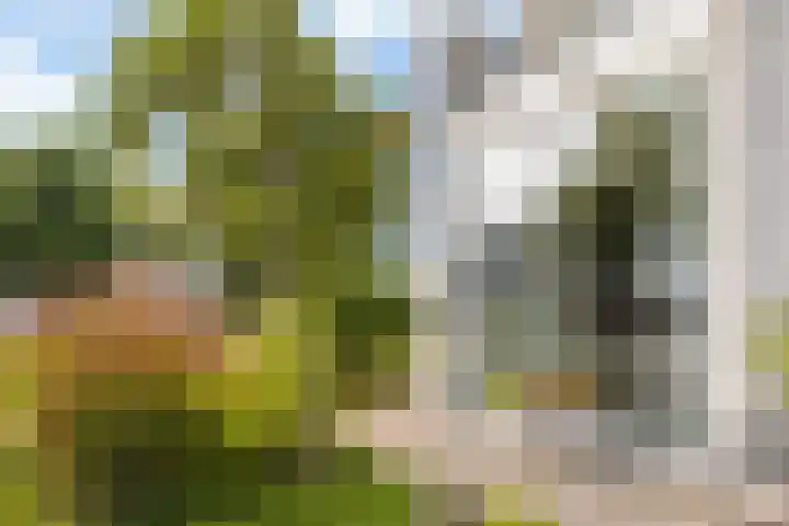 Hille Veenstrastrjitte 14 Kollumersweach thumbnail 9