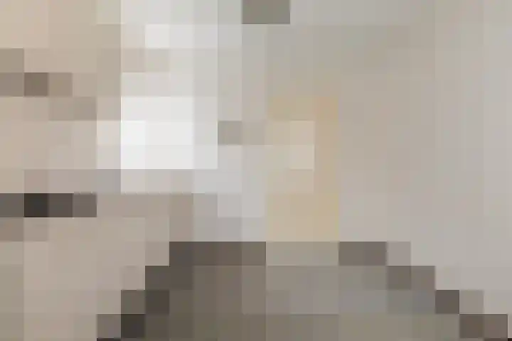 Hille Veenstrastrjitte 8 Kollumersweach thumbnail 13