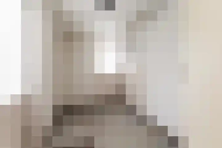 Hille Veenstrastrjitte 8 Kollumersweach thumbnail 14
