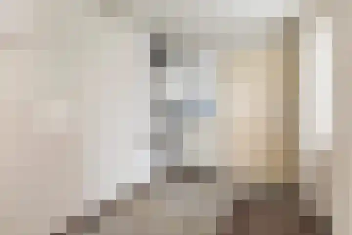 Hille Veenstrastrjitte 8 Kollumersweach thumbnail 15