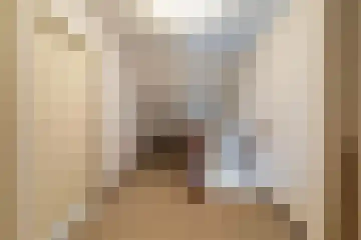 Hille Veenstrastrjitte 8 Kollumersweach thumbnail 16