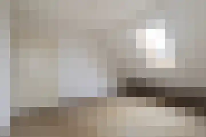 Hille Veenstrastrjitte 8 Kollumersweach thumbnail 19