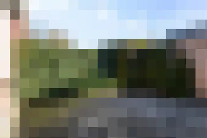 Hille Veenstrastrjitte 8 Kollumersweach thumbnail 27