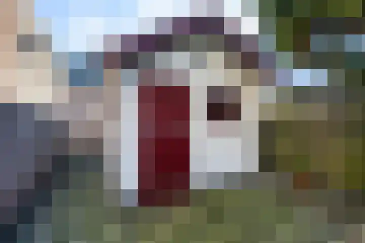 Hille Veenstrastrjitte 8 Kollumersweach thumbnail 31