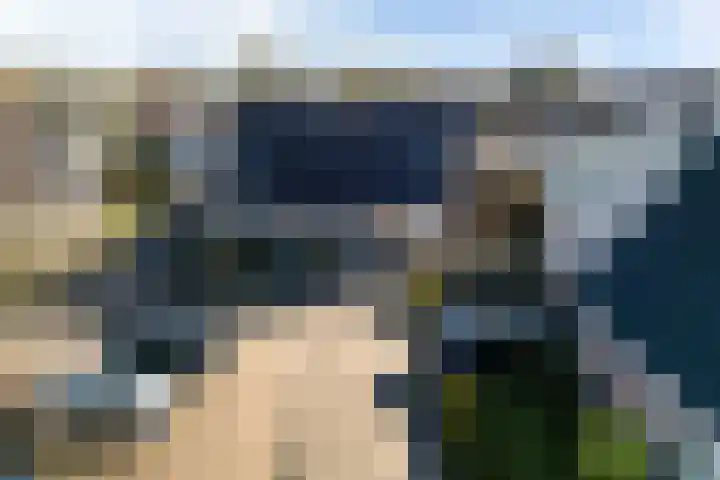 Hille Veenstrastrjitte 8 Kollumersweach thumbnail 33