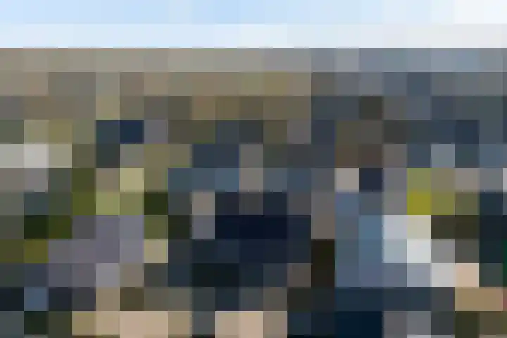 Hille Veenstrastrjitte 8 Kollumersweach thumbnail 34