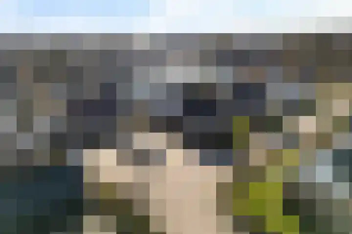 Hille Veenstrastrjitte 8 Kollumersweach thumbnail 35