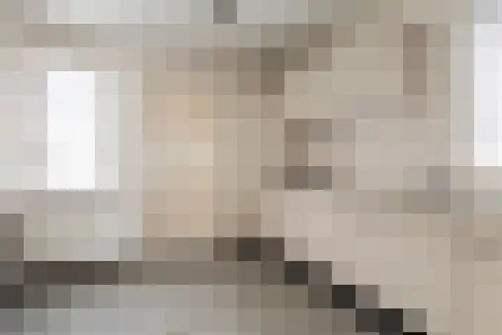 Hille Veenstrastrjitte 8 Kollumersweach thumbnail 4