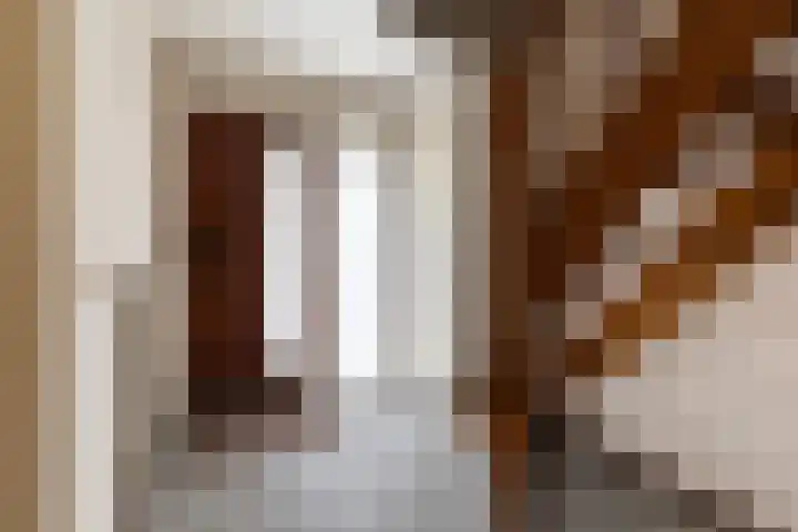 Hille Veenstrastrjitte 8 Kollumersweach thumbnail 5