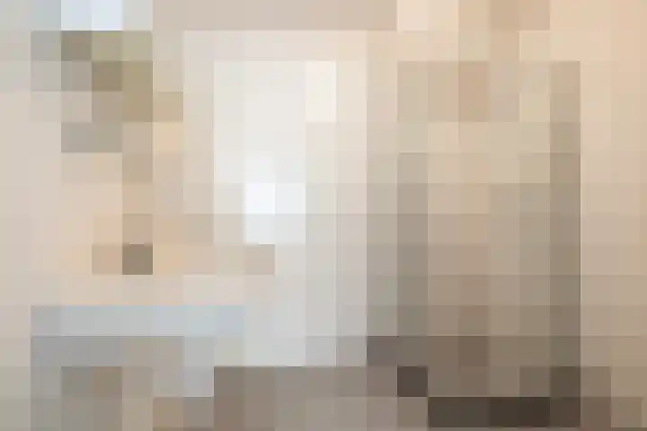 Hille Veenstrastrjitte 8 Kollumersweach thumbnail 8