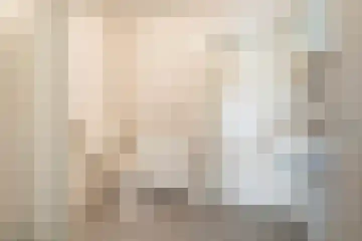 Hille Veenstrastrjitte 8 Kollumersweach thumbnail 9