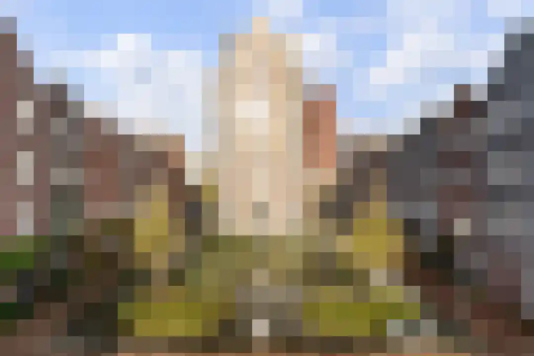 Hillebrant Jacobsplein 20 Den Haag thumbnail 17