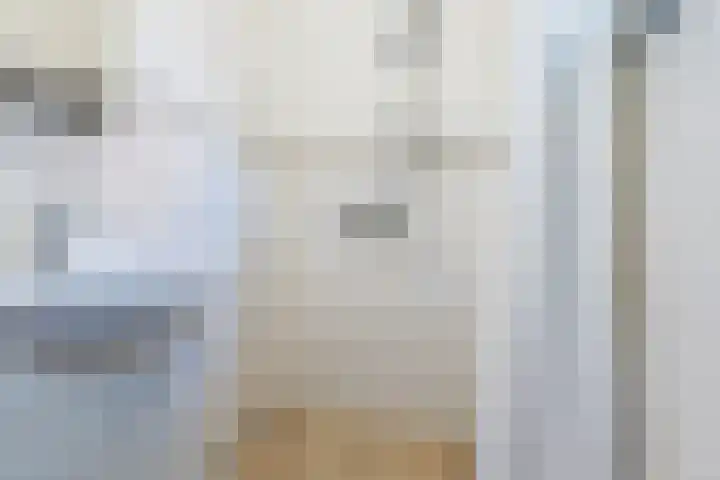 Hilleburen 10 Wergea thumbnail 15