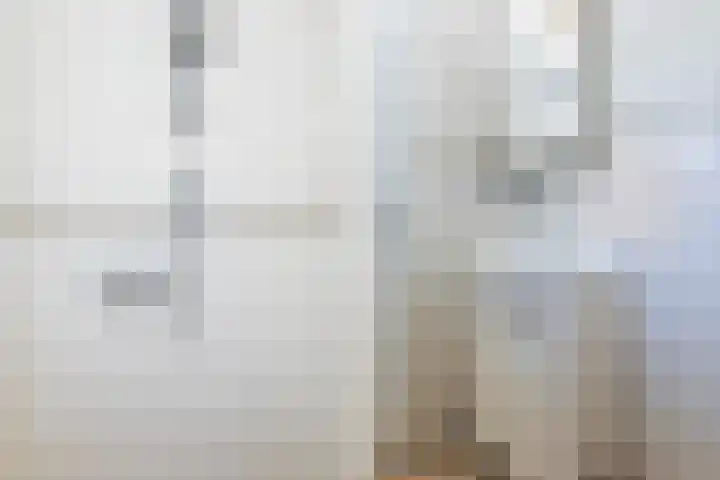 Hilleburen 10 Wergea thumbnail 16
