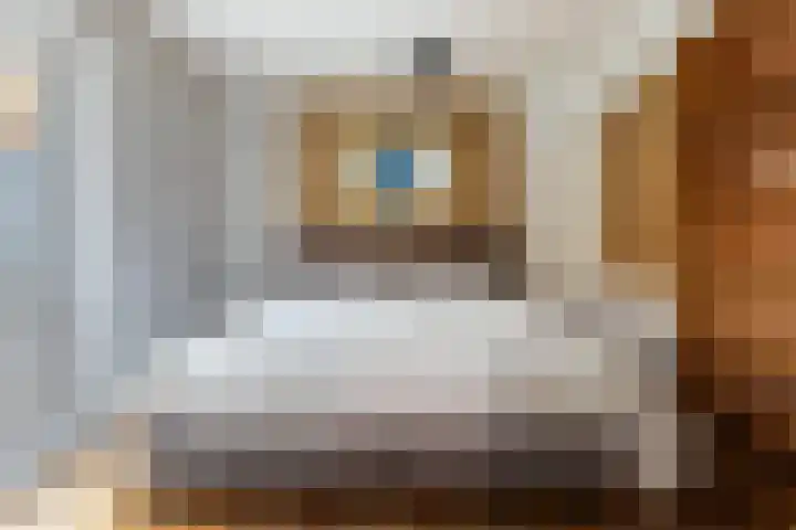 Hilleburen 10 Wergea thumbnail 17