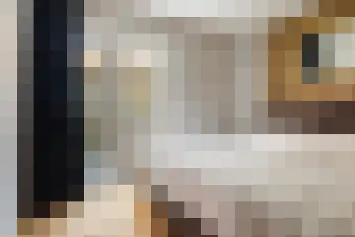 Hilleburen 10 Wergea thumbnail 18